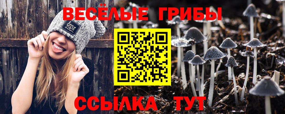 Галлюциногенные грибы Psilocybe  Псилоцибиновые грибы GOLDEN TEACHER  Нижнеудинск  Вход с VPN 
